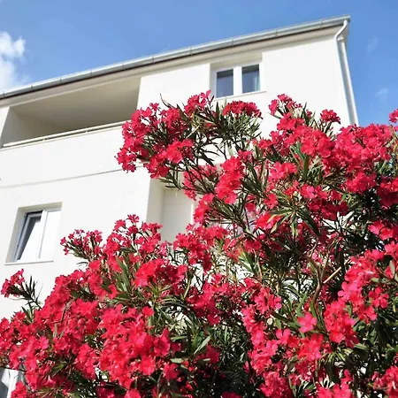 Apartment Enida *